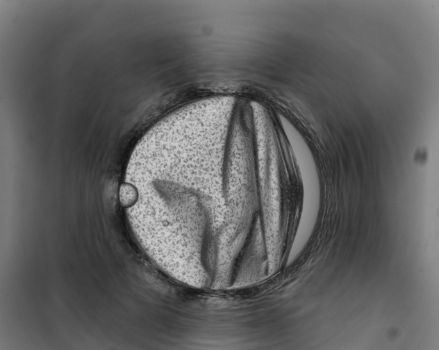 X0000100370697200807031902