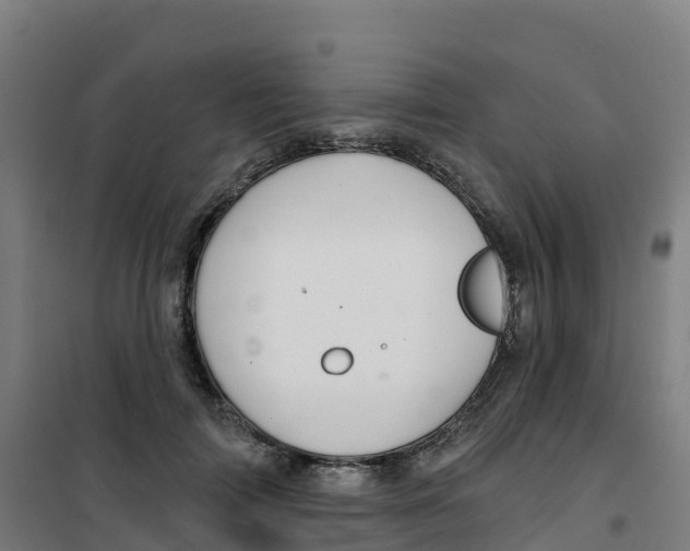 X0000100370698200807031902