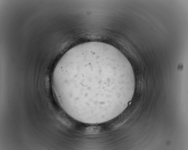 X0000100370700200807031902