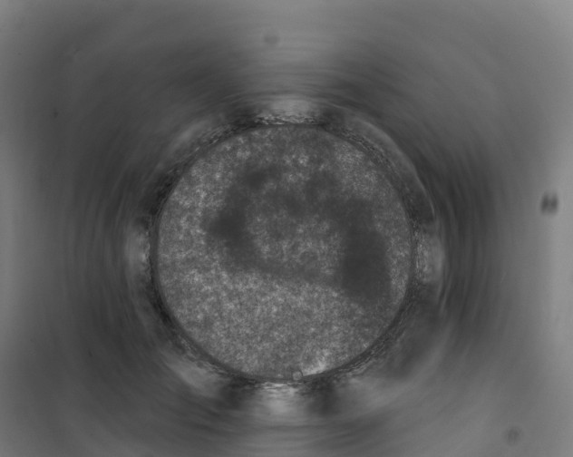 X0000100370701200807031902