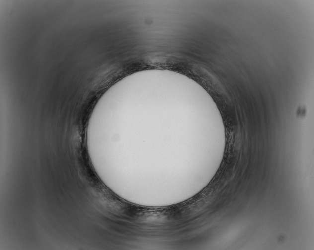 X0000100370702200807031902