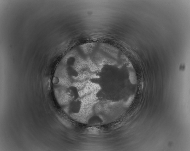 X0000100370703200807031902