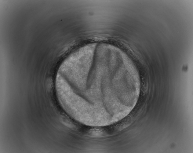 X0000100370704200807031902