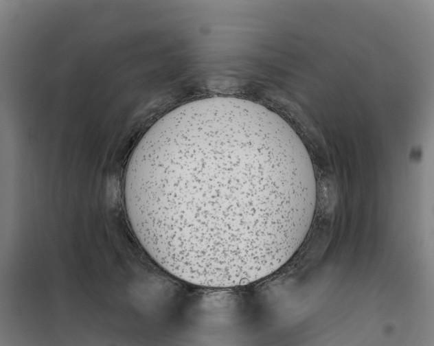 X0000100370705200807031902