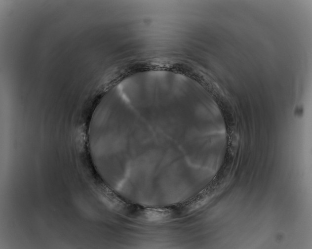 X0000100370707200807031902