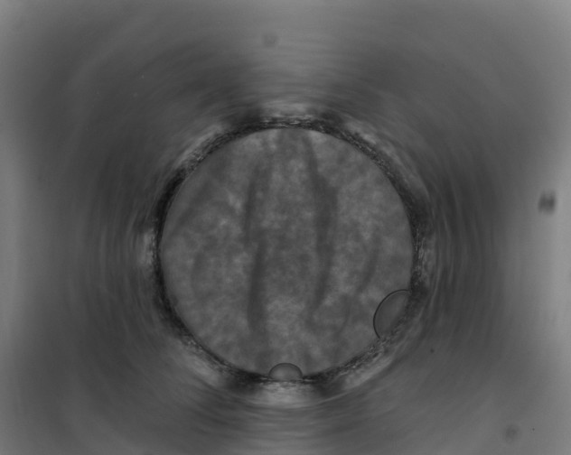 X0000100370708200807031902