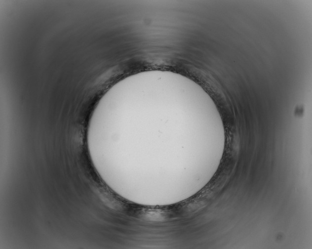 X0000100370710200807031902