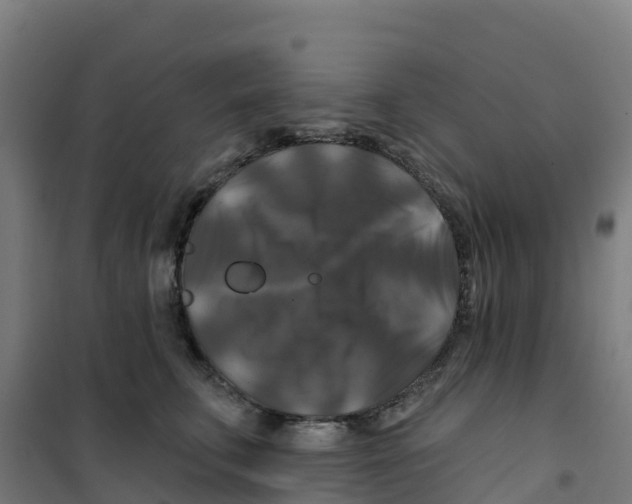 X0000100370711200807031902