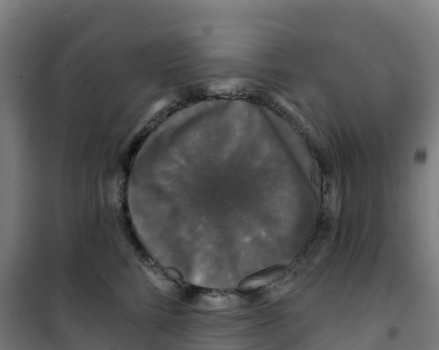 X0000100370712200807031902