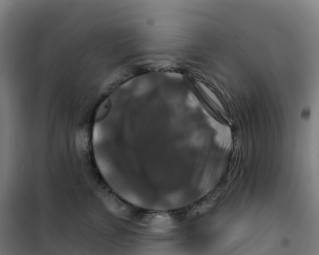 X0000100370715200807031902