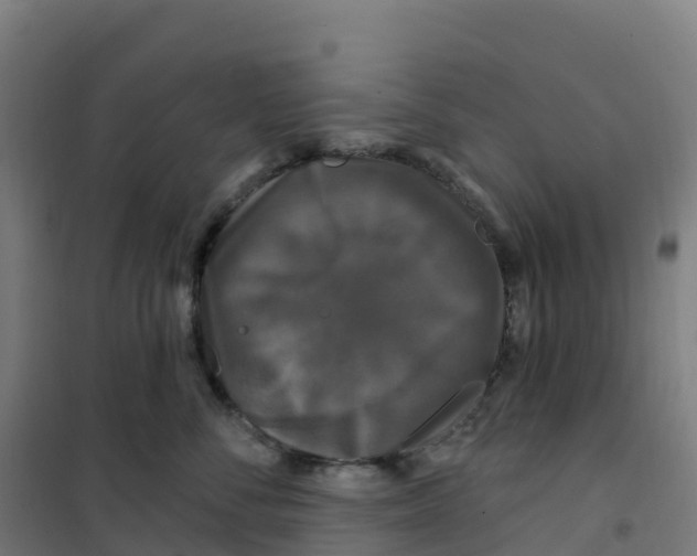 X0000100370716200807031902