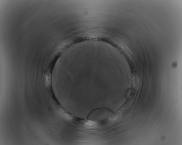 X0000100370718200807031902