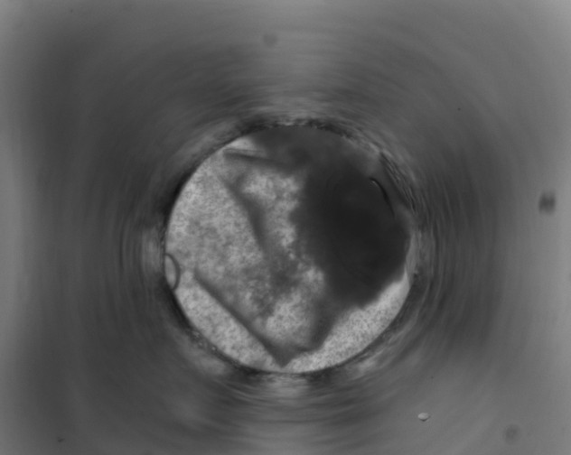 X0000100370719200807031902