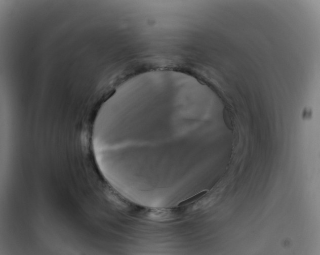 X0000100370720200807031902