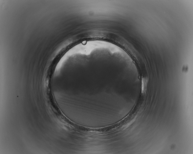 X0000100370723200807031901