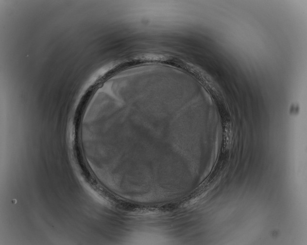 X0000100370726200807031901