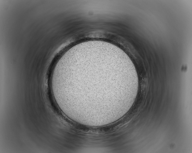 X0000100370727200807031901