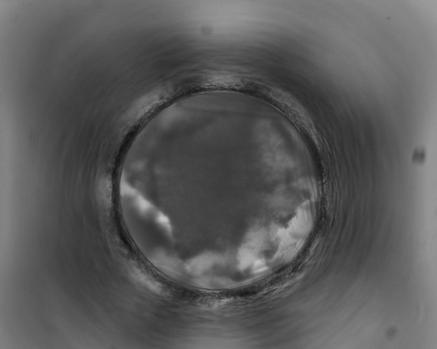 X0000100370729200807031902