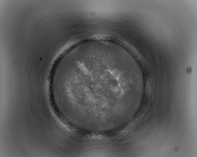 X0000100370730200807031902