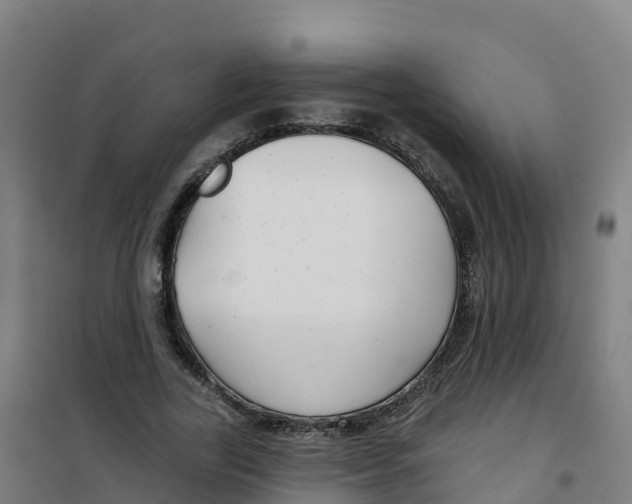 X0000100370731200807031902