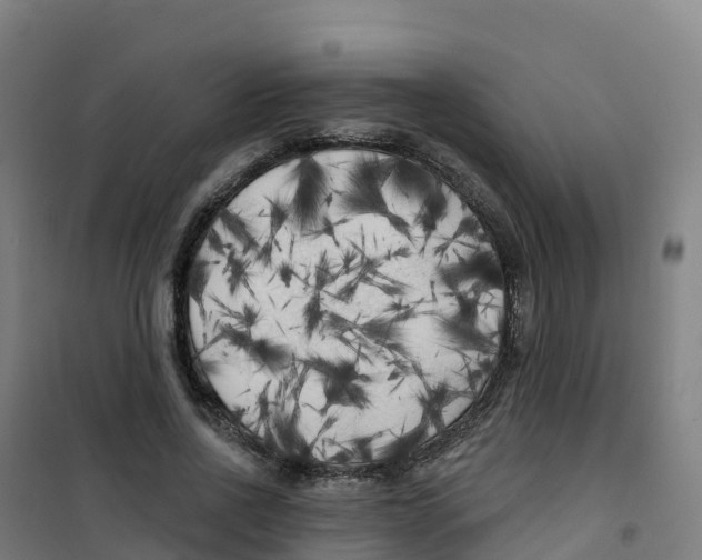 X0000100370734200807031902