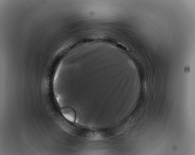 X0000100370735200807031902