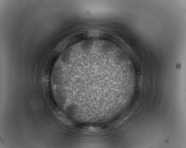 X0000100370737200807031902