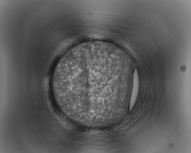 X0000100370738200807031902