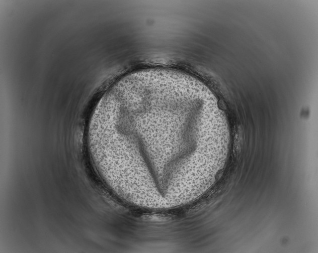 X0000100370739200807031902