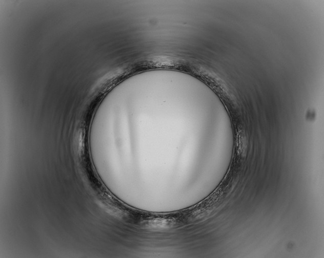 X0000100370740200807031902