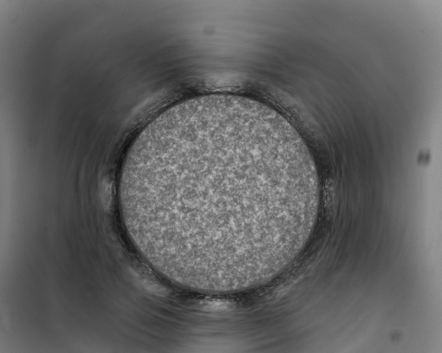 X0000100370741200807031902