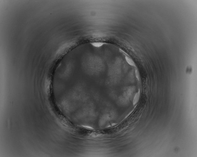 X0000100370742200807031902