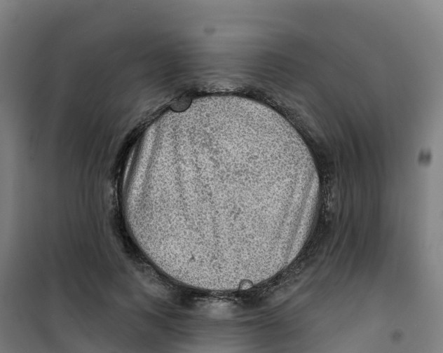 X0000100370743200807031902