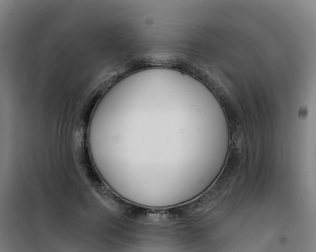 X0000100370744200807031902