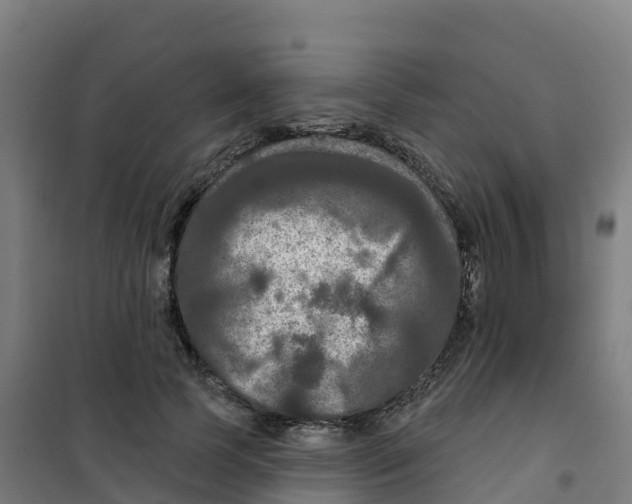 X0000100370745200807031902