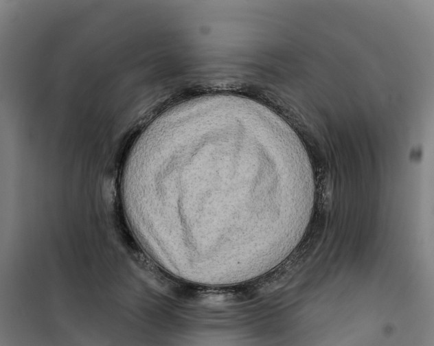 X0000100370746200807031902