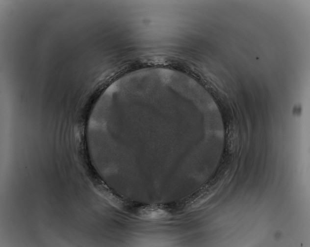 X0000100370747200807031902