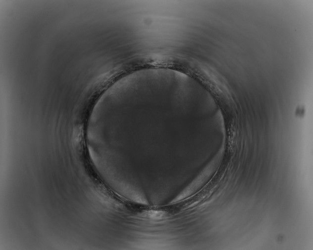 X0000100370748200807031902