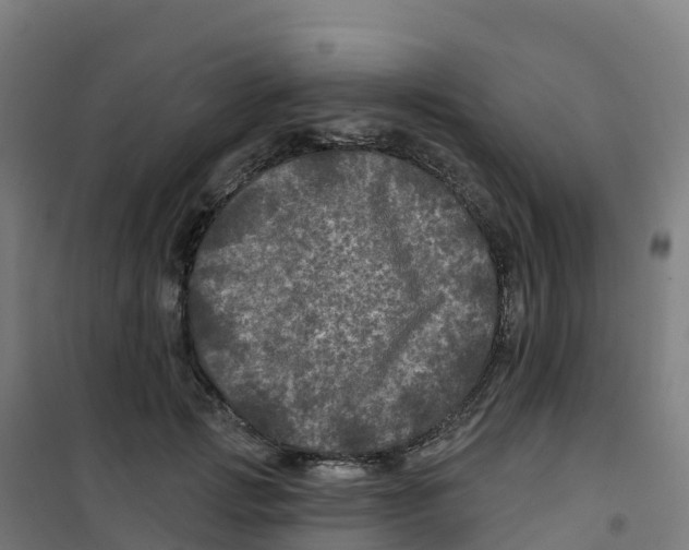 X0000100370749200807031902