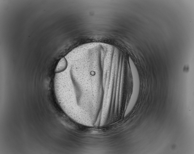 X0000100370750200807031902