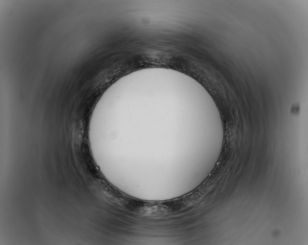 X0000100370752200807031902