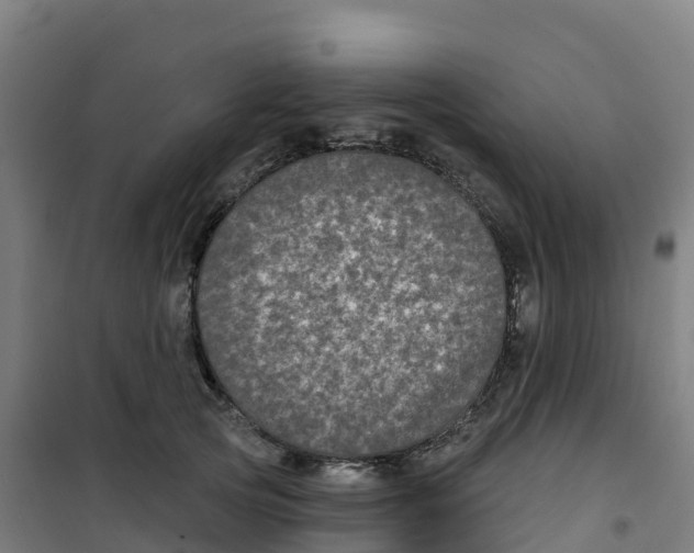 X0000100370753200807031902