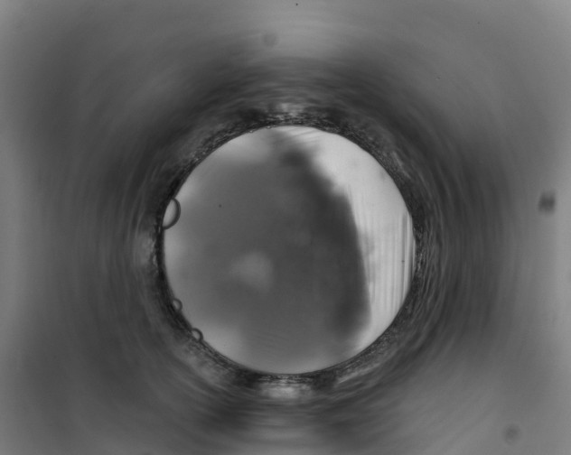 X0000100370754200807031902