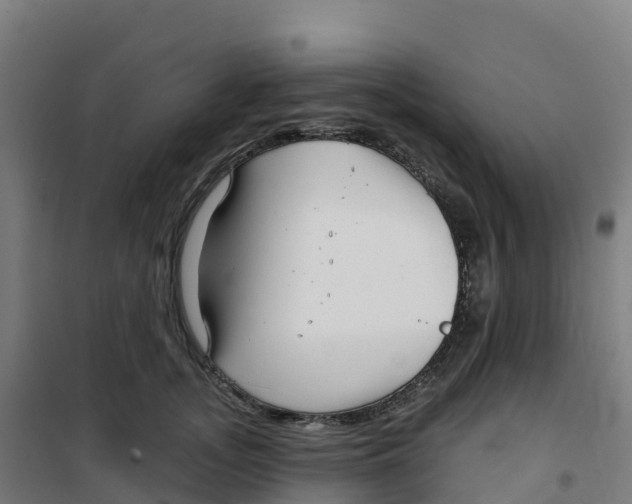 X0000100370755200807031902