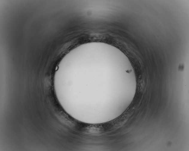 X0000100370756200807031902