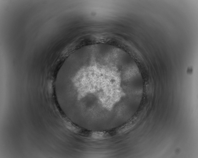 X0000100370757200807031902