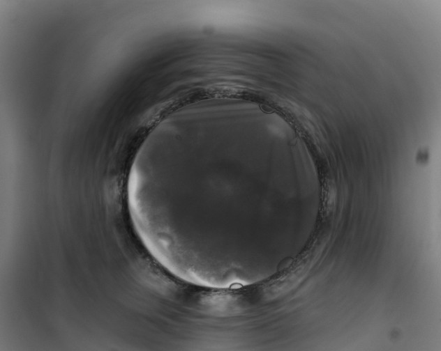 X0000100370759200807031902