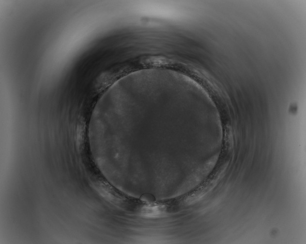 X0000100370760200807031902