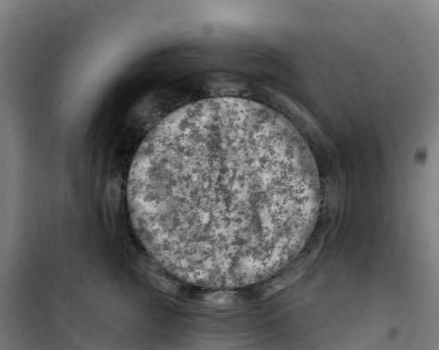 X0000100370761200807031902