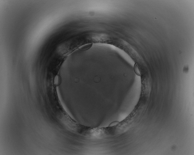 X0000100370762200807031902